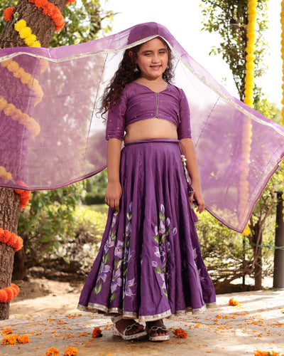 Berry Purple Handpainted Chanderi Lehenga Set