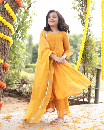 Doodle Mustard Sequin Georgette Suit Set